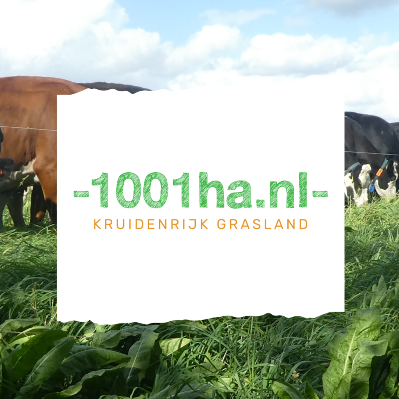 1001 ha Kruidenrijk grasland - Zaadhandel Neutkens BV | Webshop