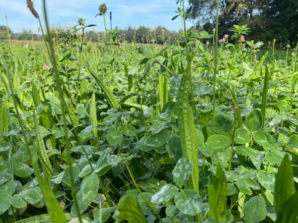 Optima Maaimest Divers - Toegelaten biologische landbouw